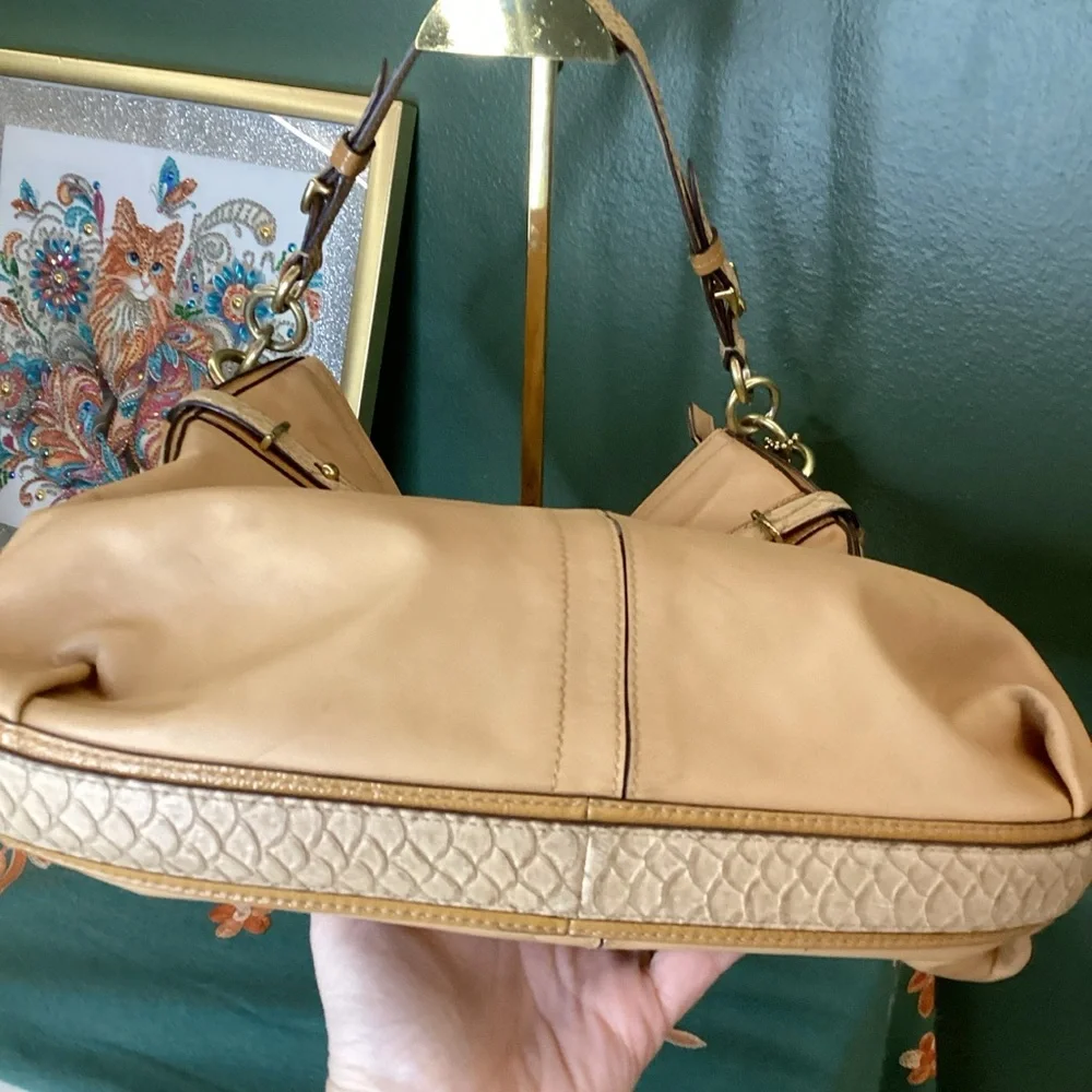 Coach colette hobo